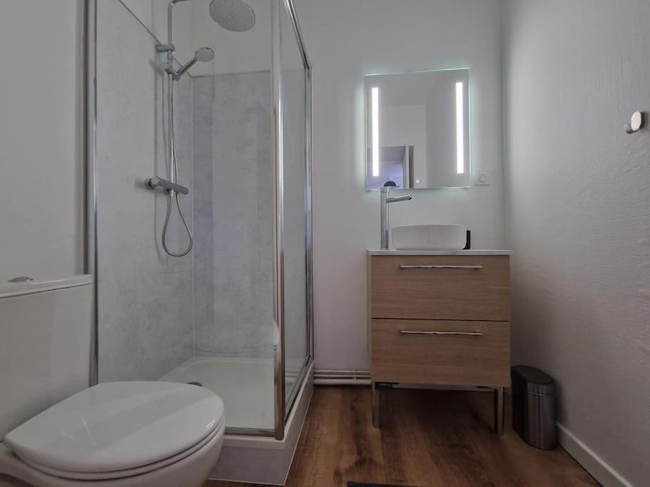 Cosy Coeur De Apartment Angers